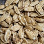 Pumpkin Seeds